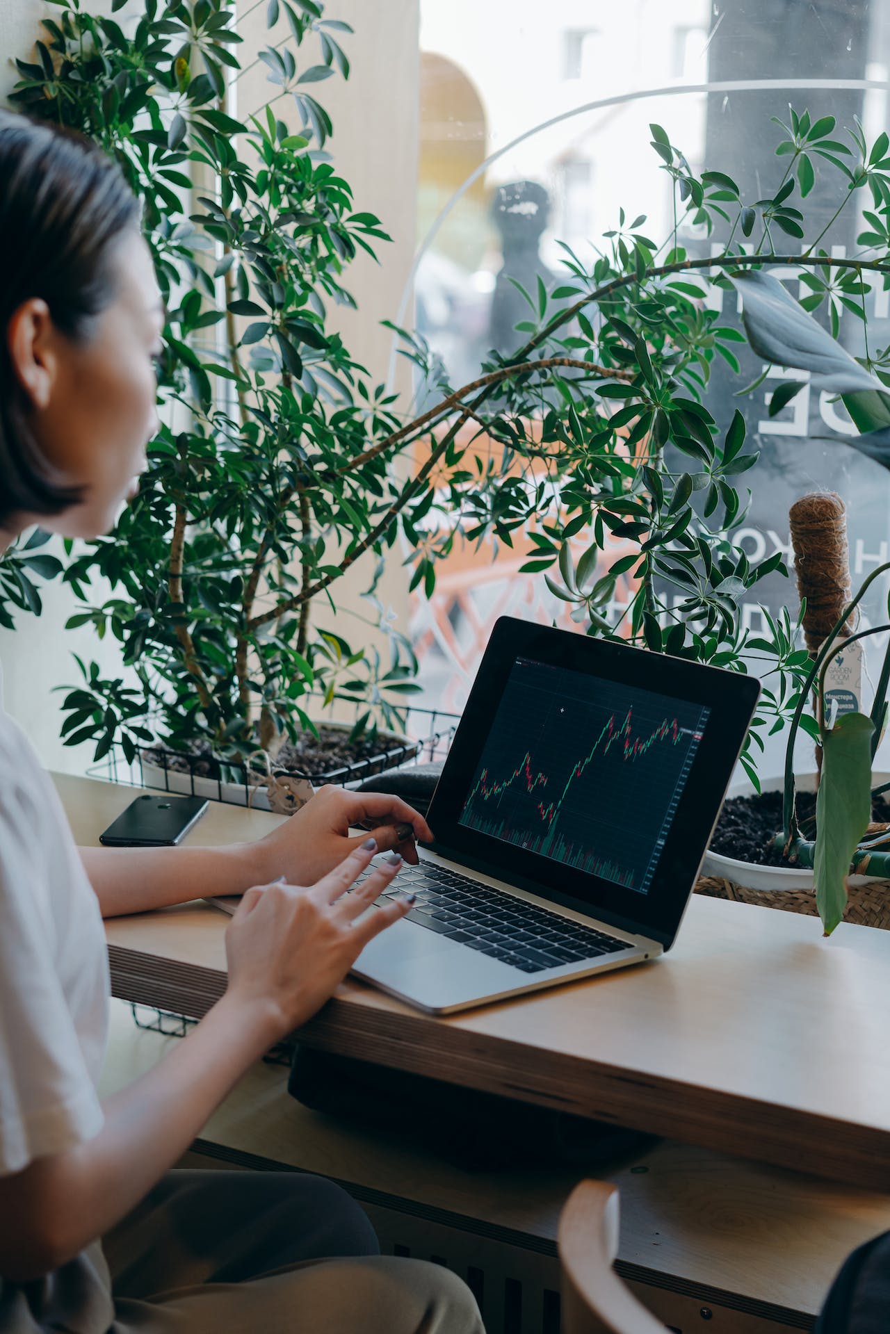accounting-and-bookkeeping